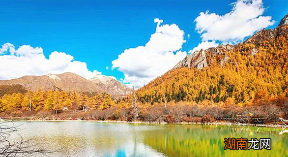 盛唐最负盛名的诗人之一：揭秘王维的开挂人生