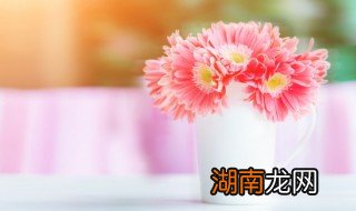 天气冷鲜花能不能放空调房，天气冷鲜花能不能放空调房室外
