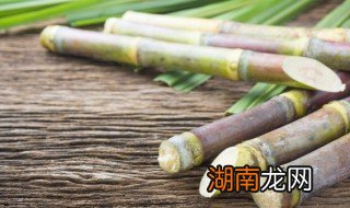 甘蔗能不能带上轻轨 甘蔗能不能带上高铁