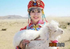 董鄂妃与顺治帝的故事是怎样的？有哪些人因为他们牺牲了？