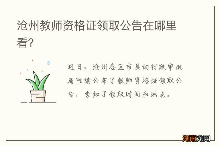 沧州教师资格证领取公告在哪里看?