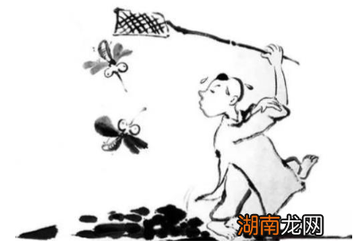 探索古人对蚊子习性与危害的认识,他们是如何防蚊的?