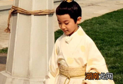 刘子鸾得到很多疼爱,为什么他年仅十岁就去世了?