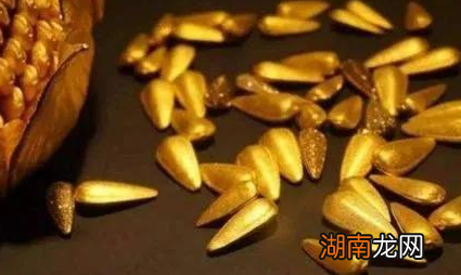 古代金瓜子到底是什么 皇帝为什么会金瓜子打赏