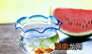 卧室里面放鱼缸可以吗吗，卧室可以放鱼缸么