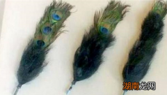 揭秘：清朝的三眼花翎有多难得到？