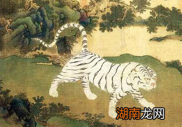 朱橚任藩王期间劣迹斑斑,他为什么还能名垂千史?