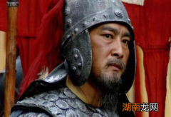 诸葛亮选择继承人的时候，为何不选择姜维呢？