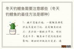 冬天钓鲤鱼的最佳方法是哪种 冬天钓鲤鱼需要注意哪些