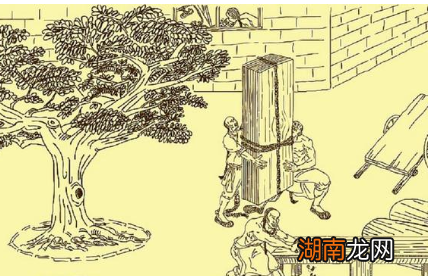 建造紫禁城需要的木材，是从何而来的？为什么不会腐烂？