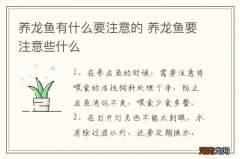 养龙鱼有什么要注意的 养龙鱼要注意些什么
