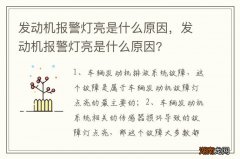 发动机报警灯亮是什么原因，发动机报警灯亮是什么原因?
